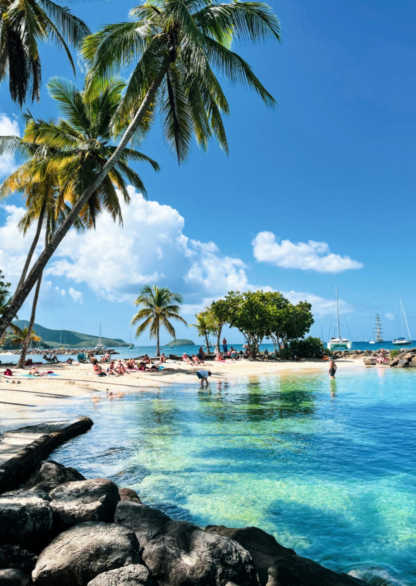 Plage de Martinique avec palmiers, eaux turquoise et voiliers